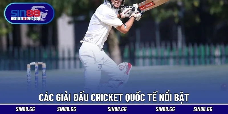 Các giải đấu cricket quốc tế nổi bật