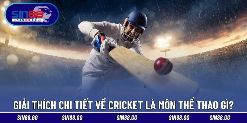 Giải thích chi tiết về Cricket là môn thể thao gì?