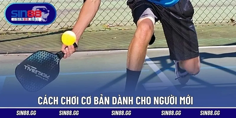 Hướng dẫn nhập môn pickleball cho người mới bắt đầu