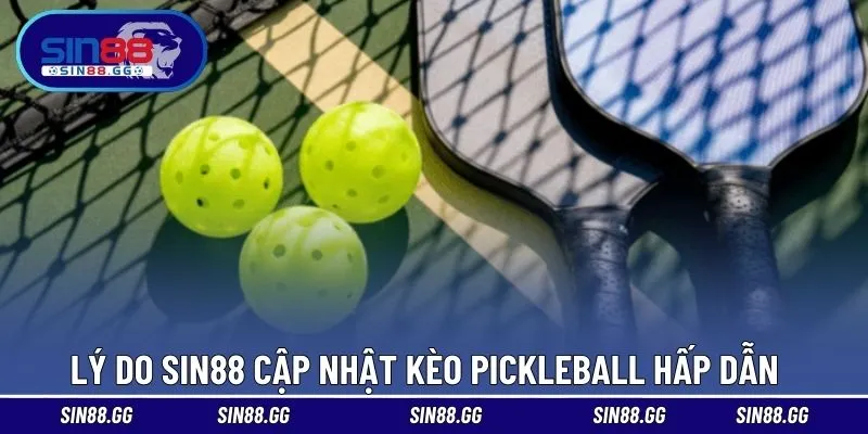 Lý do các kèo pickleball ngày càng thu hút người dùng