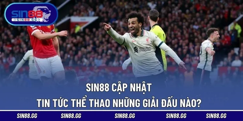 Đa dạng giải đấu được nhà cái cập nhật tin tức nóng hỏi