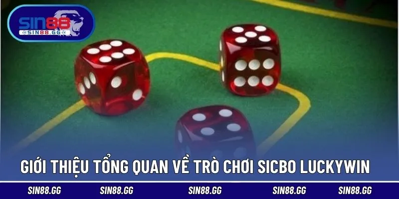 Nội dung, tính năng và cảm giác xúc xắc hiện đại