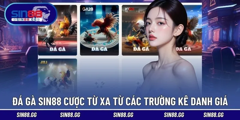 Đá Gà SIN88 cược từ xa từ các trường kê danh giá